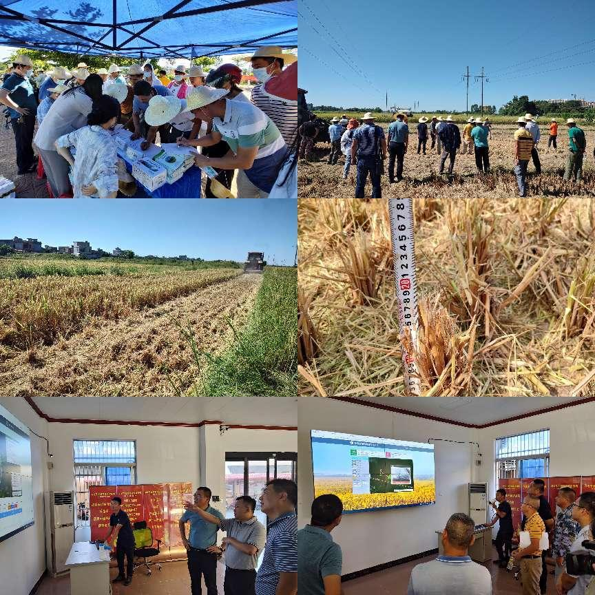 图片 12.png 图片 12.png