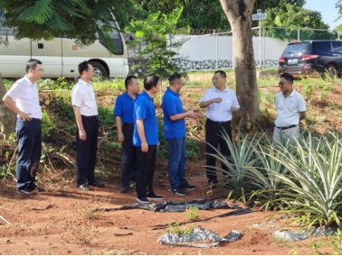 湛江市委书记刘红兵一行到农业机械研究所调研（经李所和方所审核）437.png