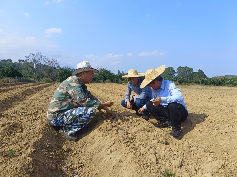 试验现场20240222-2401.png 试验现场20240222-2401.png