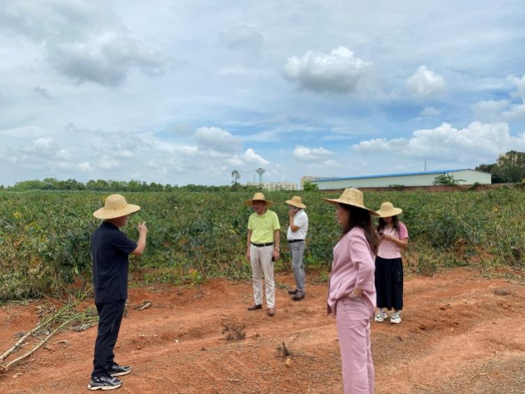 考察木薯机械化技术试验基地.png