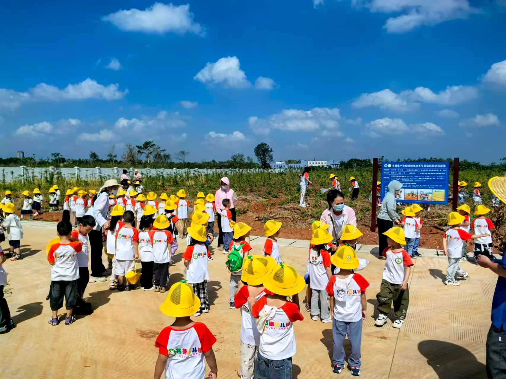 微信图片_20251020150203_125_49.jpg 微信图片_20251020150203_125_49.jpg